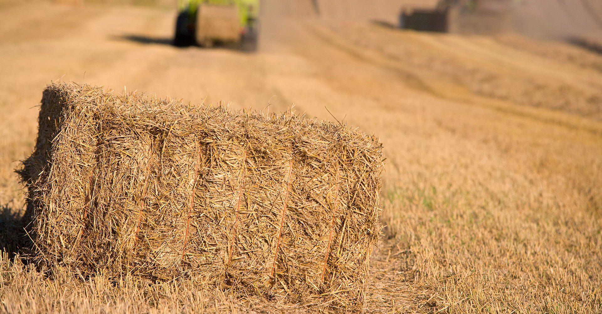 baler-twine_slider-resized (1)