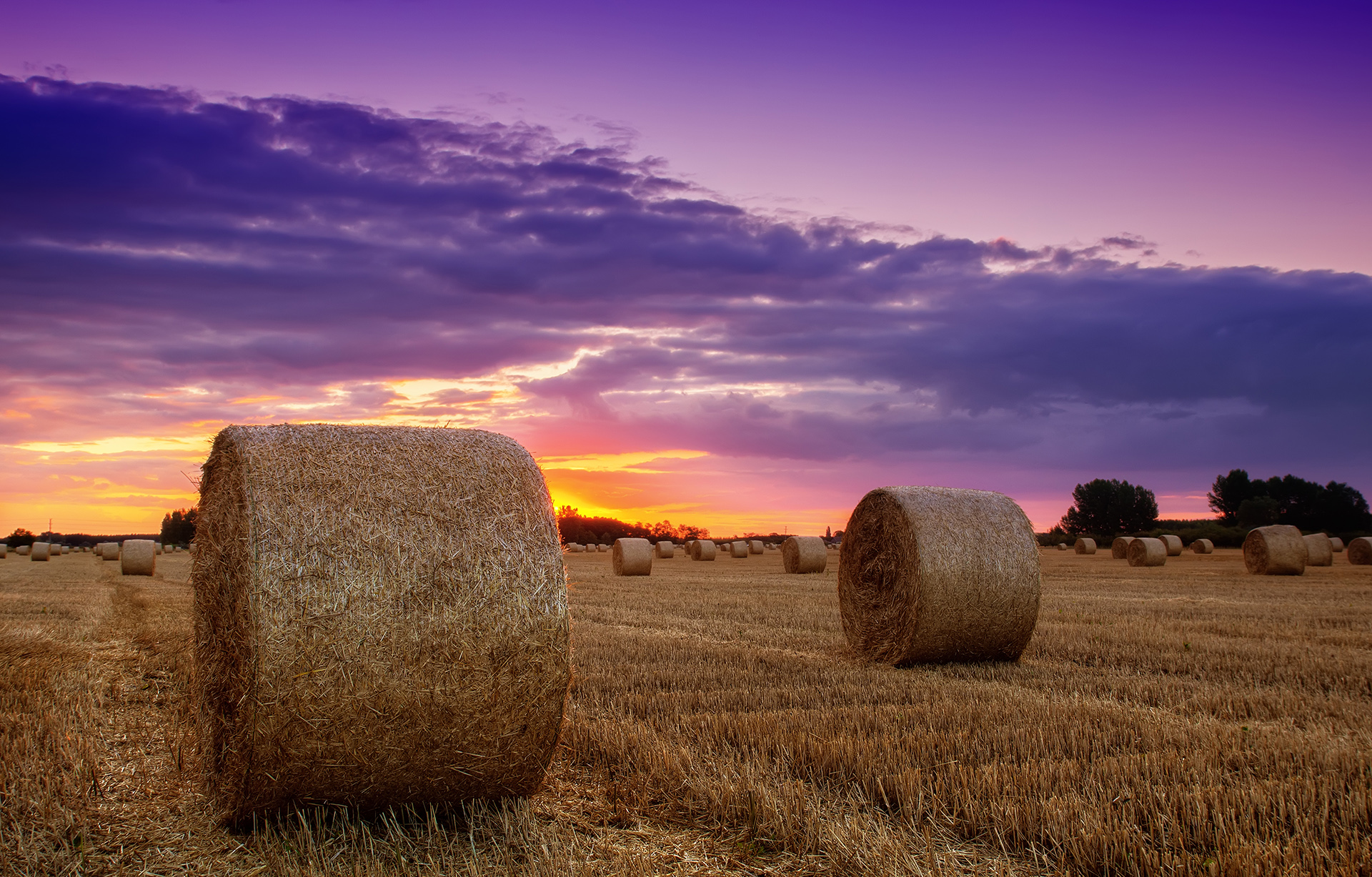 karatzis-shutterstock_108248621